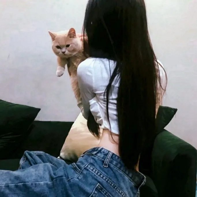 断案吧！寇准